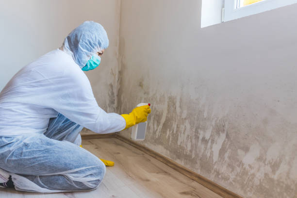 Hvac And Air Duct Mold Remediation inspection of HVAC system in Lurgan